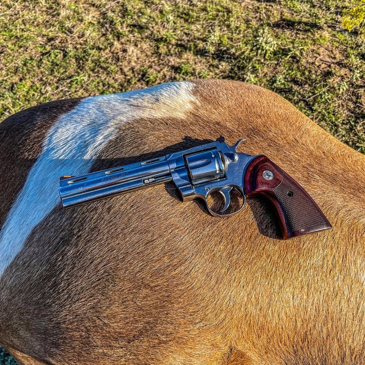 コルトパイソンの美しいフォルム