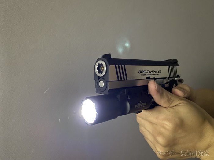X300レプリカの照射を正面から見た状態